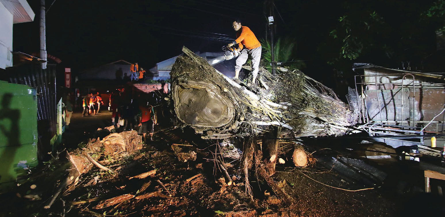 Tim SAR Gabungan Kota Solo mengevakuasi pohon tumbang di Jl. Cut Nyak Dien, Gandekan, Jebres, Solo, Selasa (12/11)malam. Pohon tumbang dan menutup jalan tersebut akibat diterjang angin kencang saat hujan deras mengguyur Kota Solo.